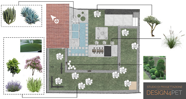 Design4Pet_progetto giardino per cani fobici_