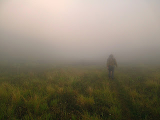 Kabut Pagi Gunung Prau