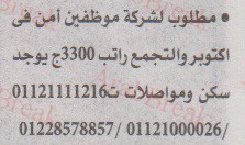 اهم وافضل الوظائف اهرام الجمعة وظائف خلية وظائف شاغرة على عرب بريك