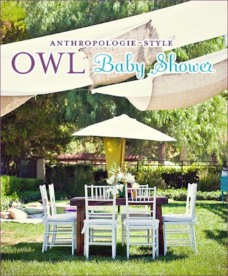  Themed Baby Shower Decorations on With The Mostess Featured Our Anthropologie Style Owl Baby Shower