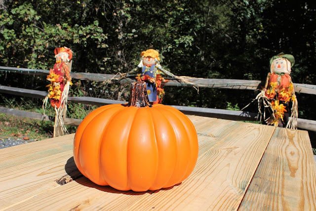 pumpkin on a table