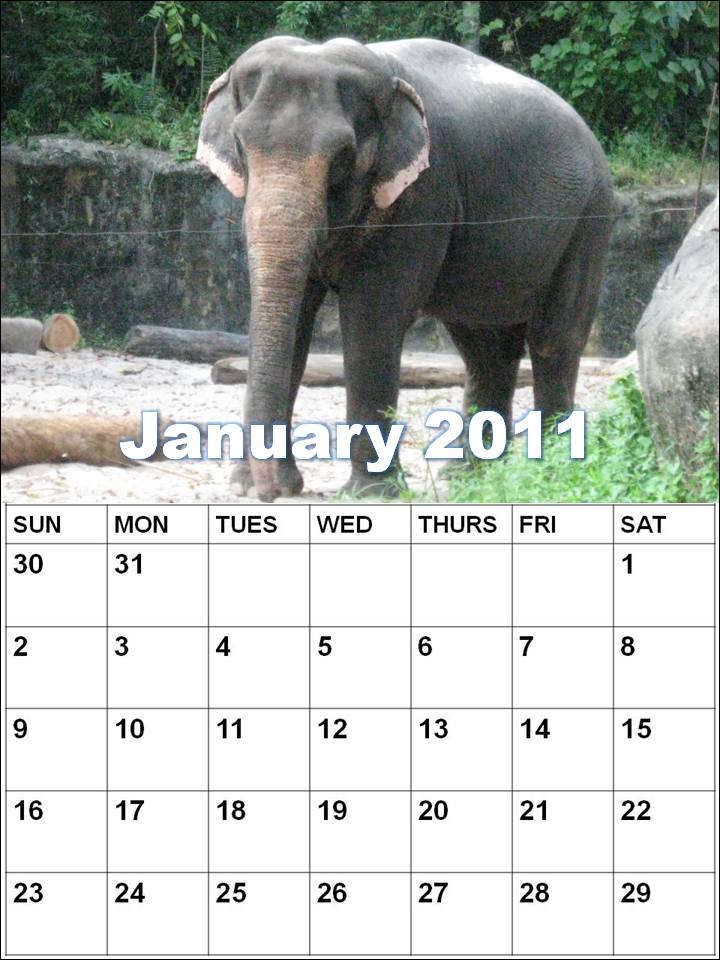 january 2011 calendar planner. january 2011 calendar planner. Blank Calendar 2011 January