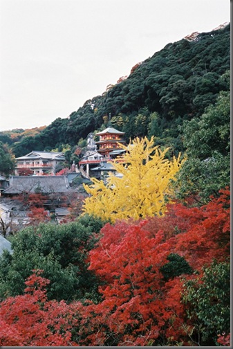 s201101201FH000006