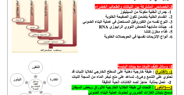 مراجعة في الاحياء للصف الحادي عشر الفصل الدراسي الثالث 2018-2019