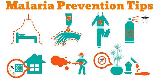 Malaria Prevention Tips From ANP Pharma