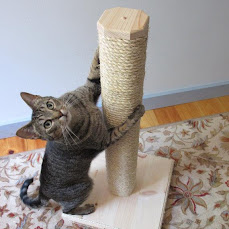 Cat Toy (Super Catnip)