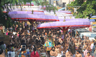 Ippasi Thirumoolam,Sattrumurai, Manavala Maamunigal,Purappadu,2016, Video, Divya Prabhandam,Triplicane,Thiruvallikeni,Utsavam,