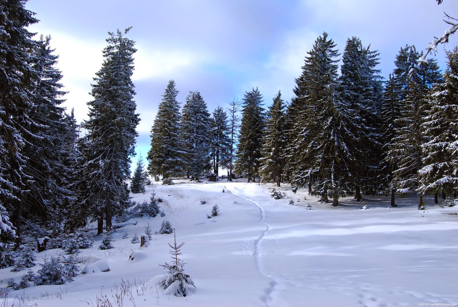 paysages formidables en hiver ( janvier )