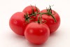  Tomatoes The Juicy Superfood Your Body and Garden Will Love    