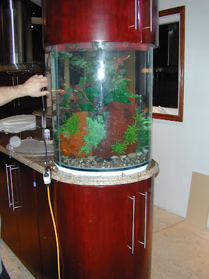 fish aquarium design