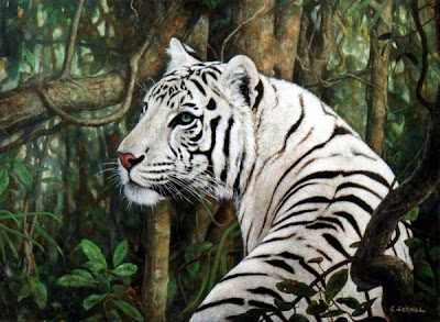 white tiger wallpaper widescreen