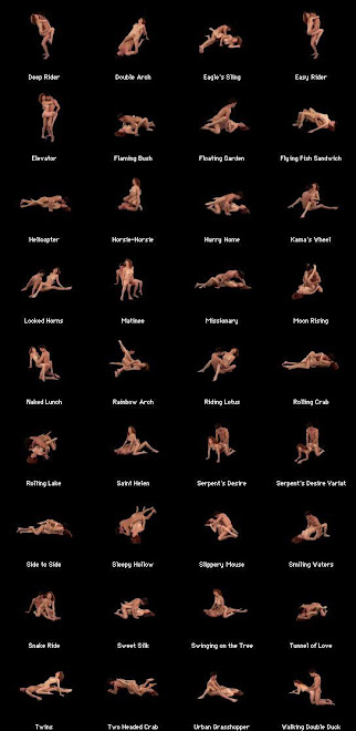 POSES DEL KAMASUTRA