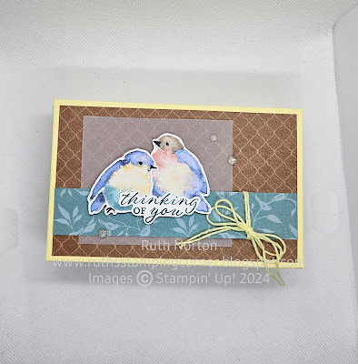 stampin up, flight and airy