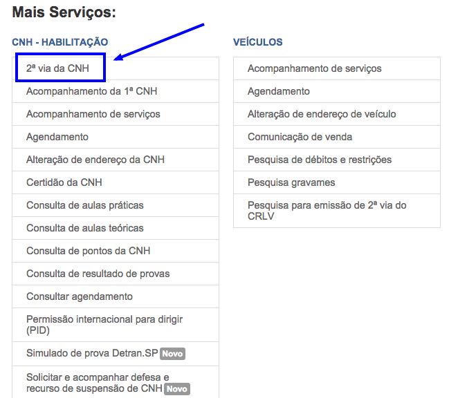 Como solicitar a 2 via da CNH pelo site do Detran SP 