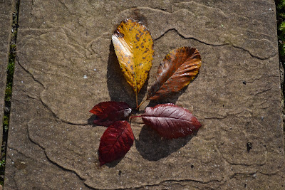 garden leaf hopscotch