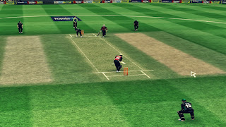 Friend Life T20 2013 patch for EA Cricket 07