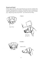 Rhodesian Ridgeback breed standard