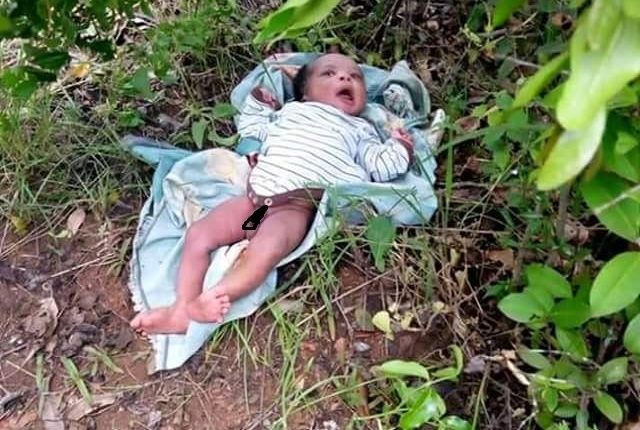 Man Rapes & Impregnates 14Years Old Girl In Sokoto, Throws The Baby In The Bush.