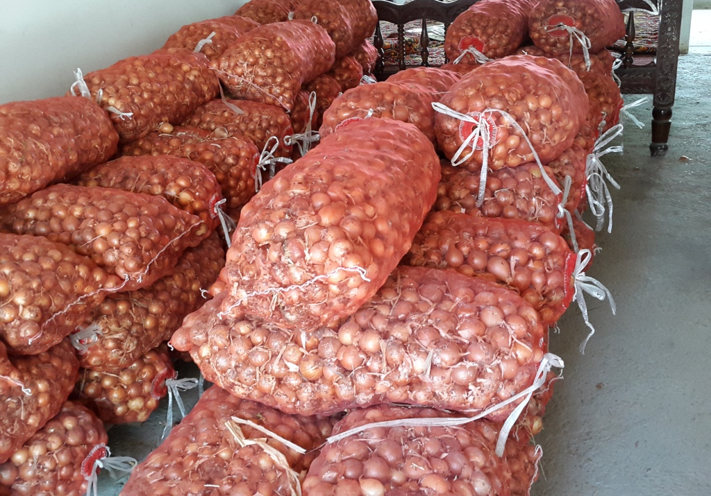 India government allowed the Onion export of 10,000 tonnes of certain Onion crop varieties in some parts of South India India government allowed the Onion export of 10,000 tonnes of certain Onion crop varieties in some parts of South India