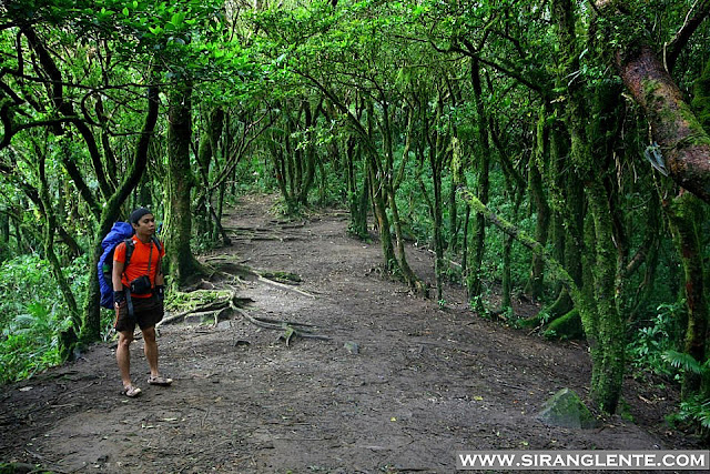 Mt. Cristobal campsite