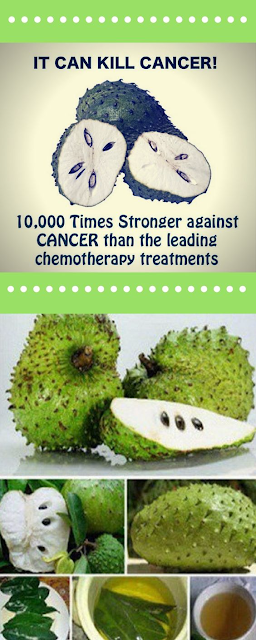 A Plant That Destroys Cancer Cells: 10.000 Times Stronger Than Chemotherapy!