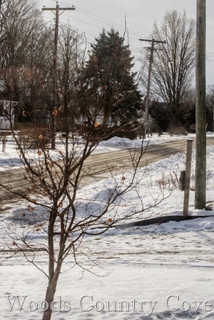 JANUARY 2015 (8 of 8)