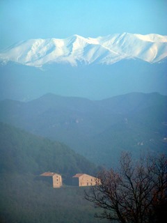 P1030303