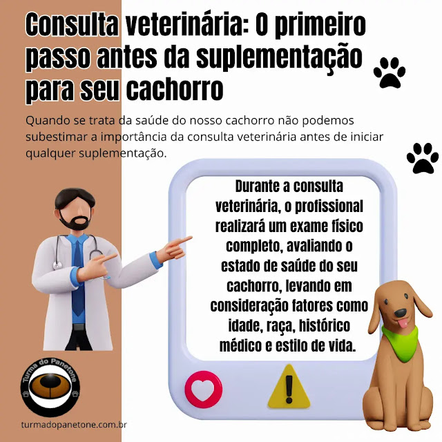 Consulta veterinária: O primeiro passo antes da suplementação para seu cachorro