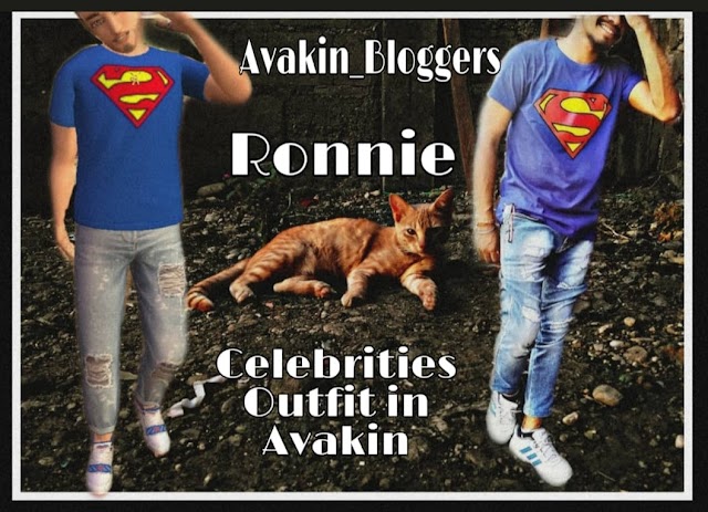 Celebrities outfit in Avakin life game