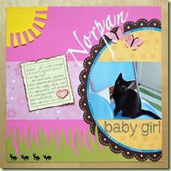 Norpan baby girl_stor