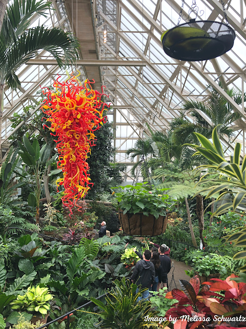 A view of the Pacific Island Water Garden from above.