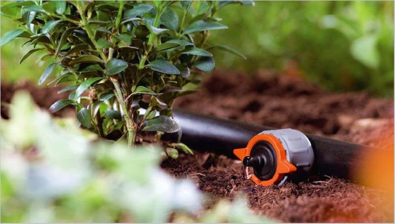 Drip Irrigation Ensures Slow Application Of Water Preventing Deep Percolation, Water Loss Due To Evaporation, And Water Run-Off In Sandy Soils