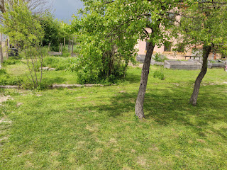 Up towards the raised beds and fenced garden