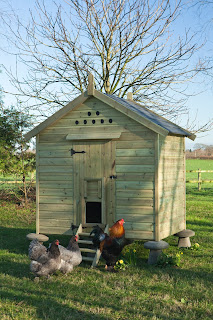 Flyte so Fancy Hen Houses