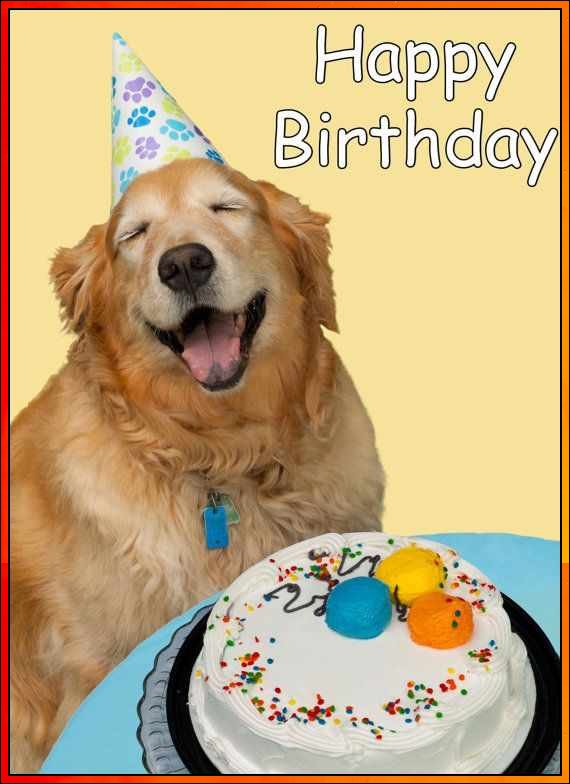 happy birthday images with dog
