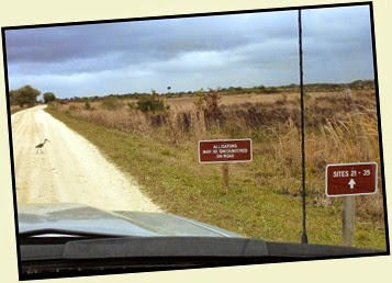 02i - Travel to Kissimmee Prairie SP