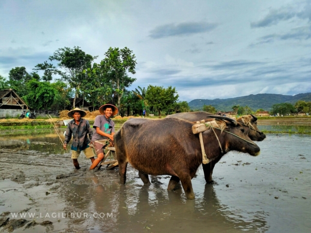 Desa Wisata Kebonagung Bantul