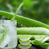  Health Benefits of Aloe Vera Juice, Benefits of Aloe Vera Juice