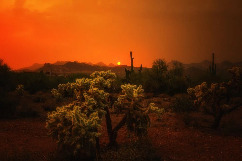 Sonoran Desert