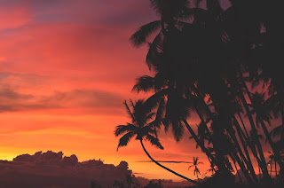 tropical sunset