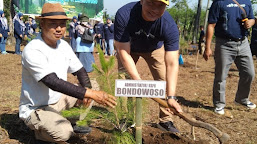 Memasuki Musim Penghujan dan Tutup Tahun, Perhutani Bondowoso Gelar Ground Breaking Tanaman