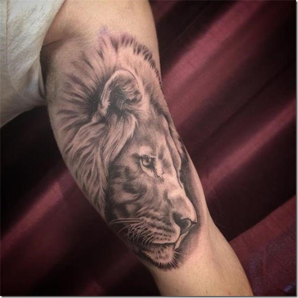 que-tal-el-brazo