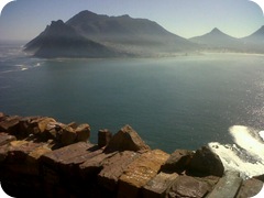 IMG00678-20110801-1229