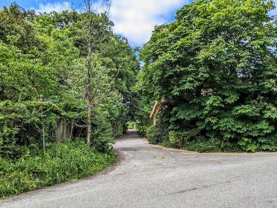 Turn left on Little Berkhamsted bridleway 17