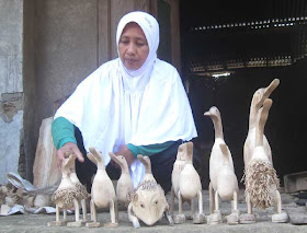 pengusaha kerajinan bebek bambu