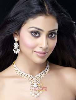 shriya saran hot