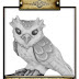 This Week's Rumour Engine- A Cute Owl