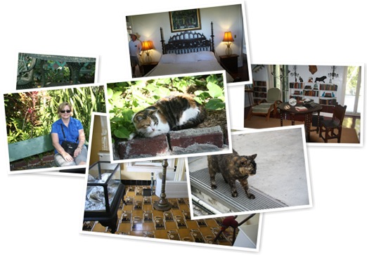 View Hemingway House