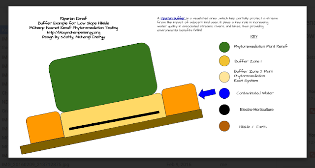 Riparian Kenaf Buffer Example for Low Slope Hillside MOhemp Hazmat Kenaf Phytoremediation Example