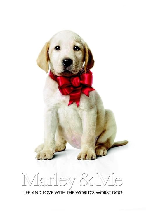 Watch Marley & Me 2008 Full Movie With English Subtitles